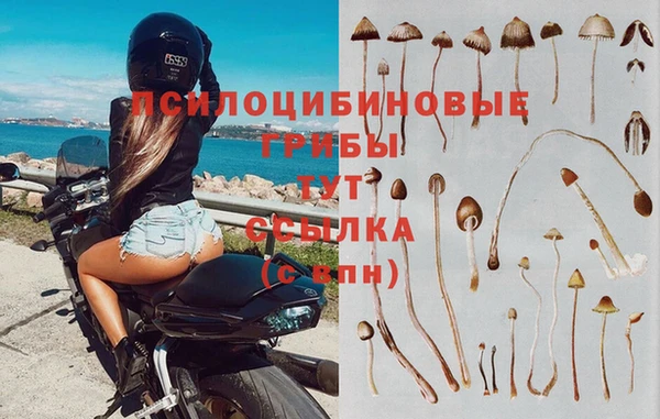 наркотики Гусь-Хрустальный