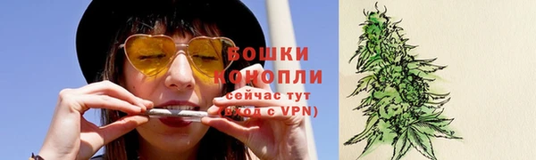 ALPHA PVP Гусев