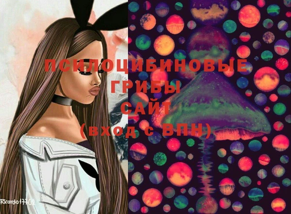наркотики Гусь-Хрустальный